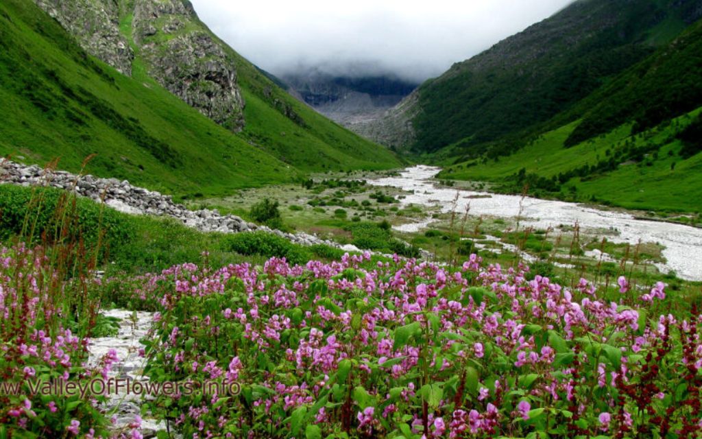 Valley of Flowers: UNESCO World Heritage site and offbeat location for travel in India