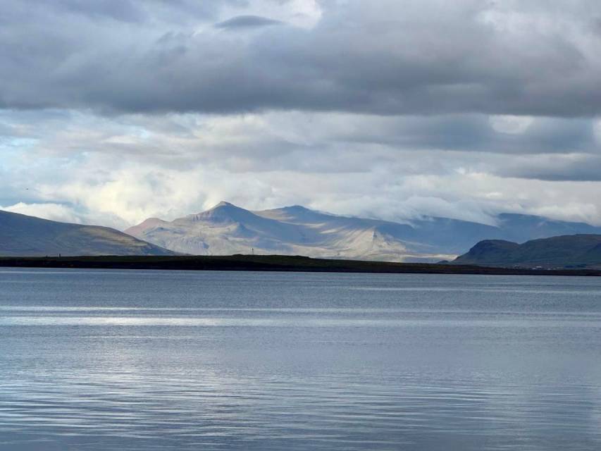 Tjörnin Lake, Reykjavik 