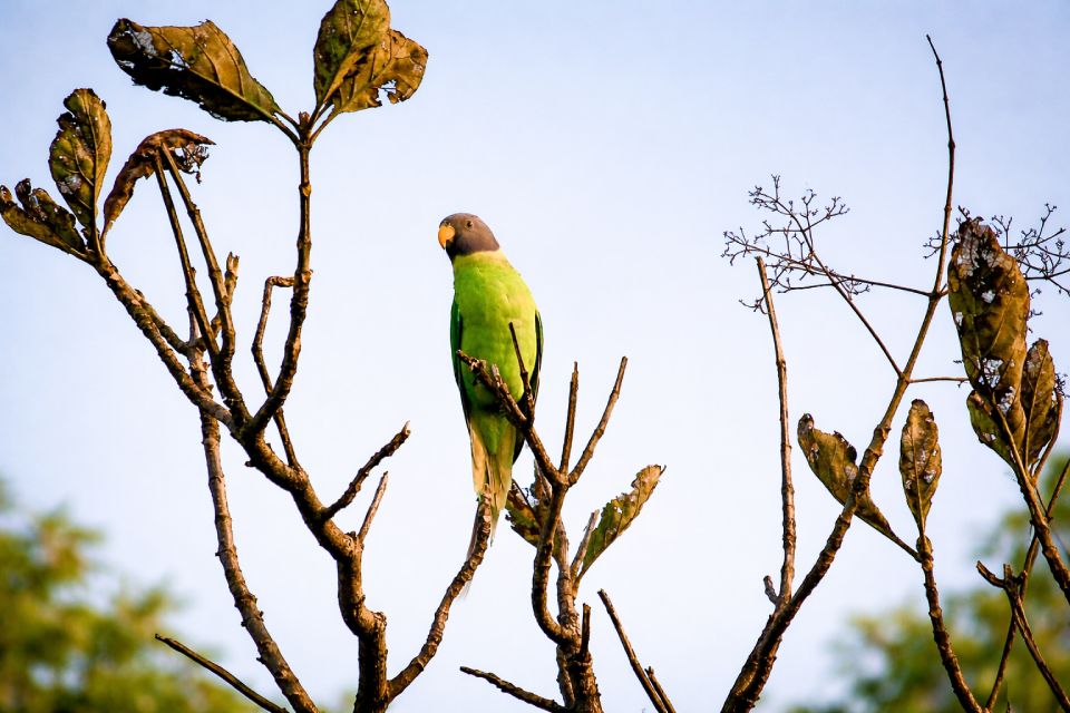 Birdlife in abundance at Tipeshwar Sanctuary